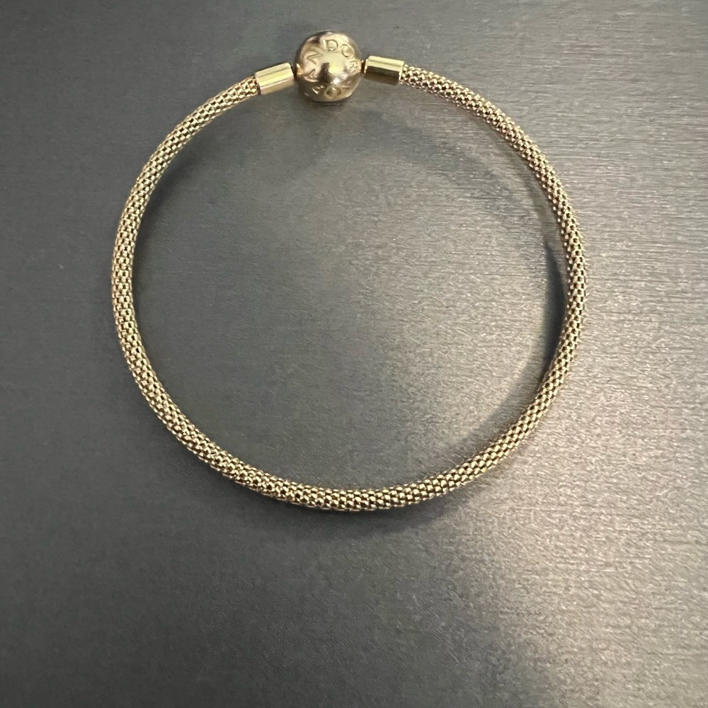 Pandora Shine moments mesh bracelet